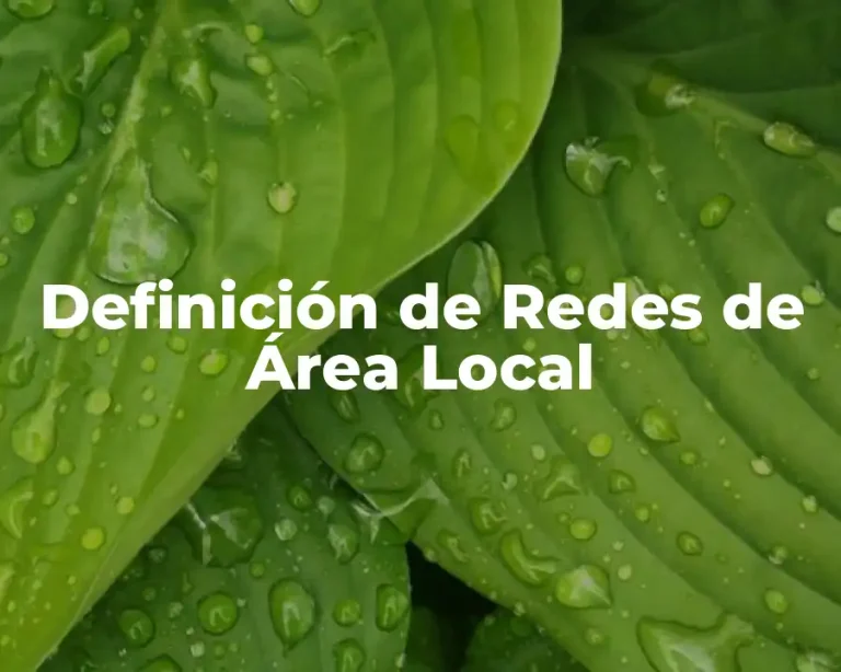 Definición de Redes de Área Local