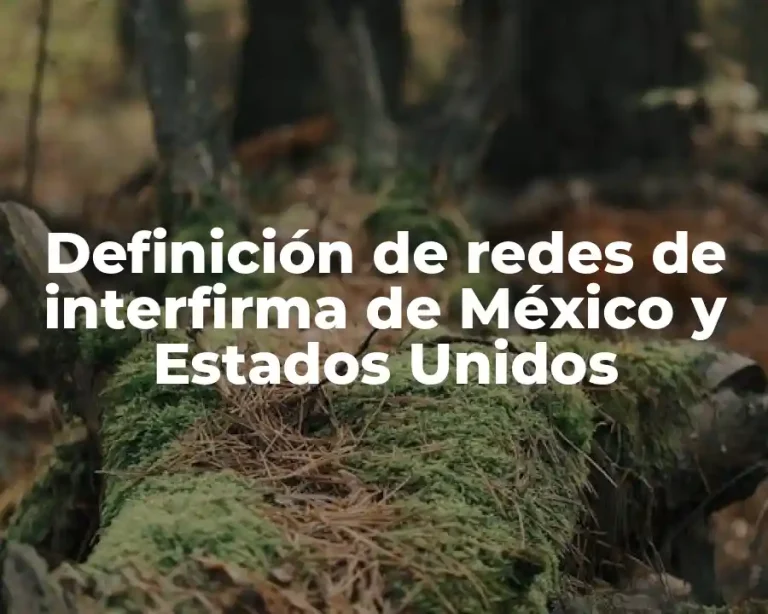Definición de redes de interfirma de México y Estados Unidos