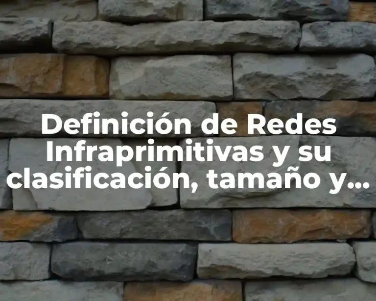 Definición de Redes Infraprimitivas y su clasificación, tamaño y extensión