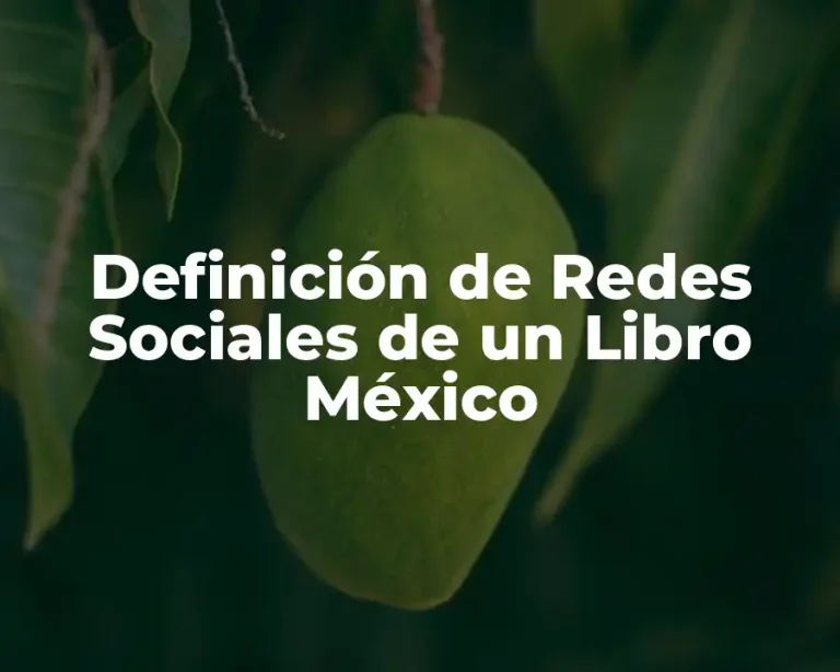 Definición de Redes Sociales de un Libro México