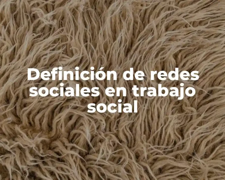 Definición de redes sociales en trabajo social