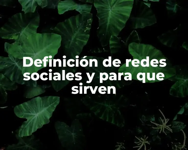 Definición de redes sociales y para que sirven