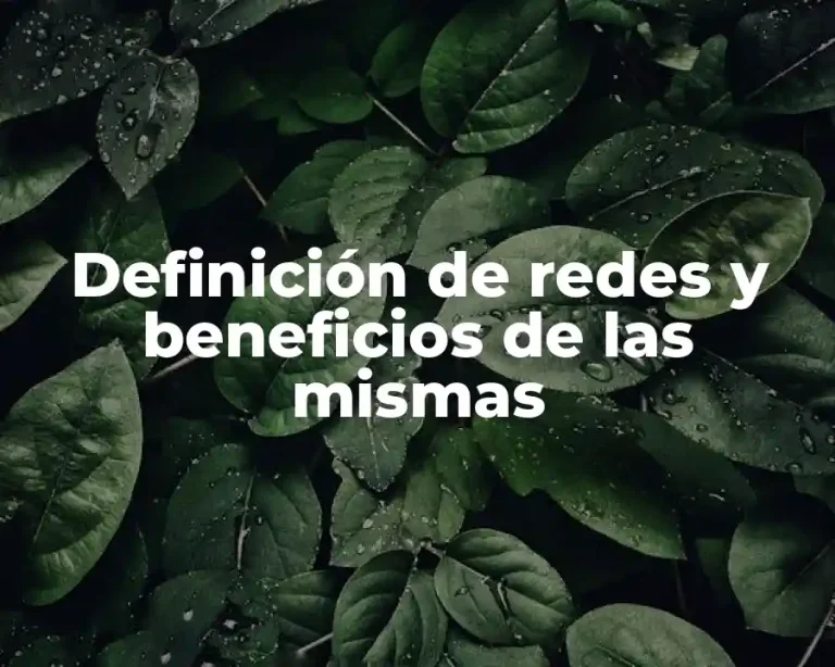 Definición de redes y beneficios de las mismas