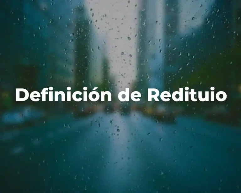 Definición de Redituio