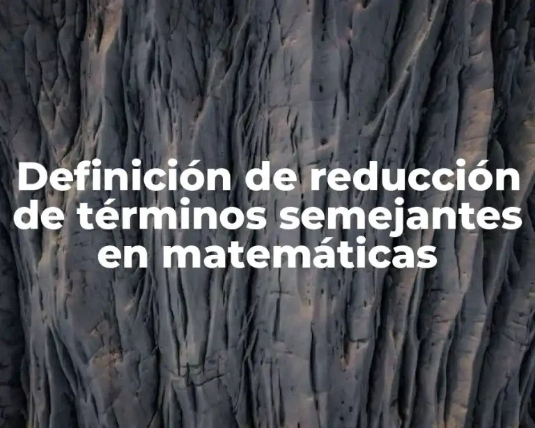 Definición de reducción de términos semejantes en matemáticas