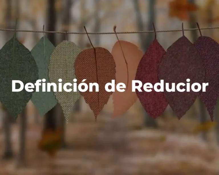 Definición de Reducior