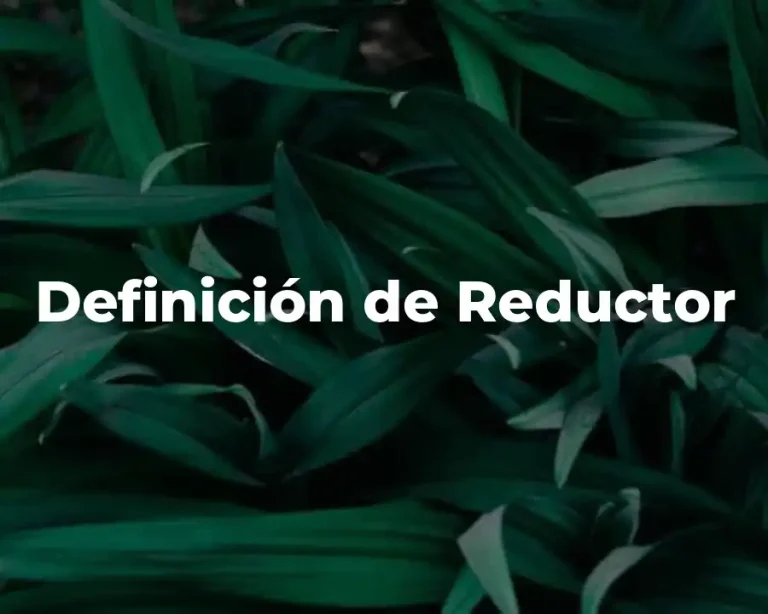 Definición de Reductor