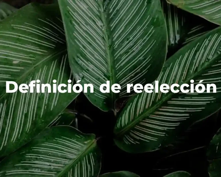 Definición de reelección