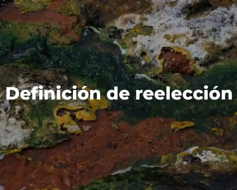 Definición de reelección