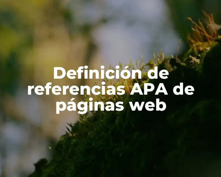 Definición de referencias APA de páginas web