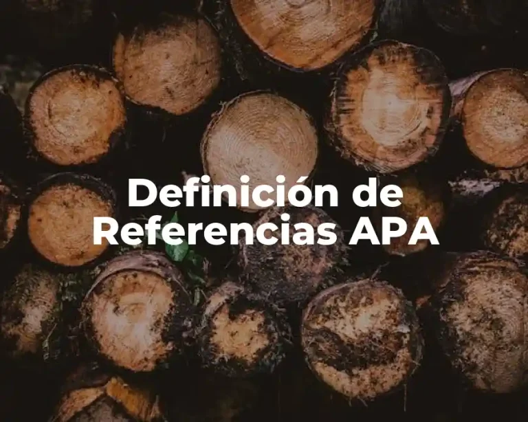 Definición de Referencias APA