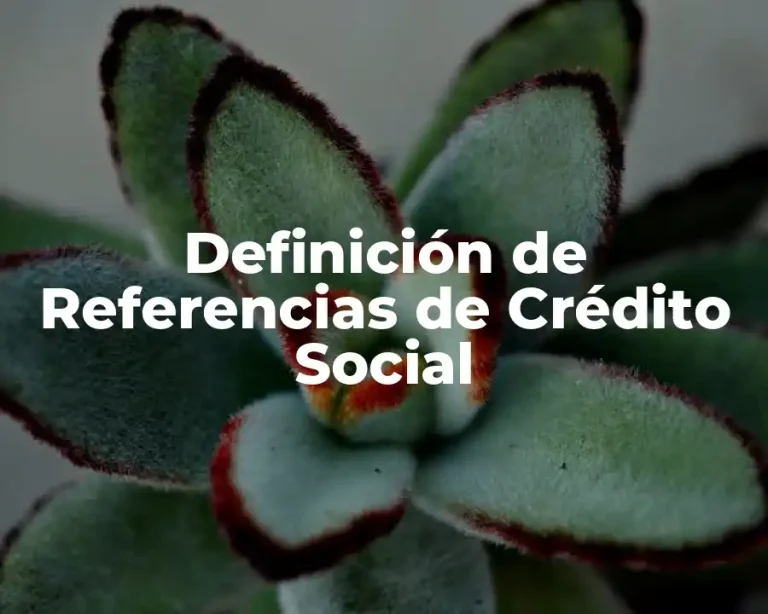 Definición de Referencias de Crédito Social