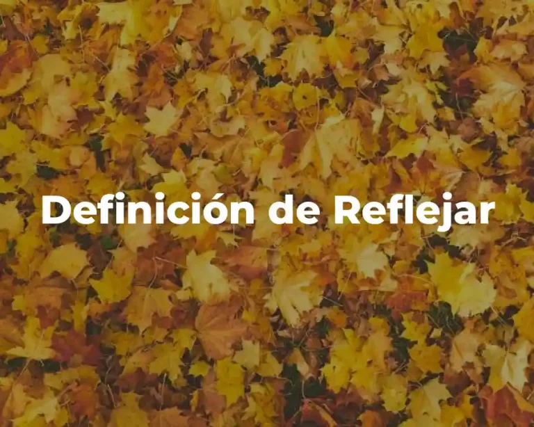 Definición de Reflejar