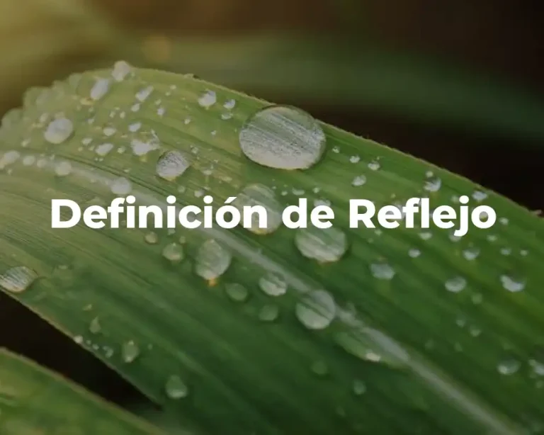 Definición de Reflejo