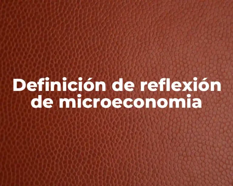 Definición de reflexión de microeconomia