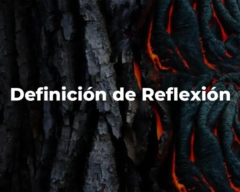 Definición de Reflexión