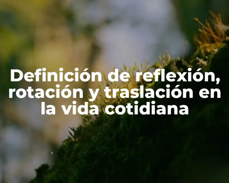 Definición de reflexión, rotación y traslación en la vida cotidiana