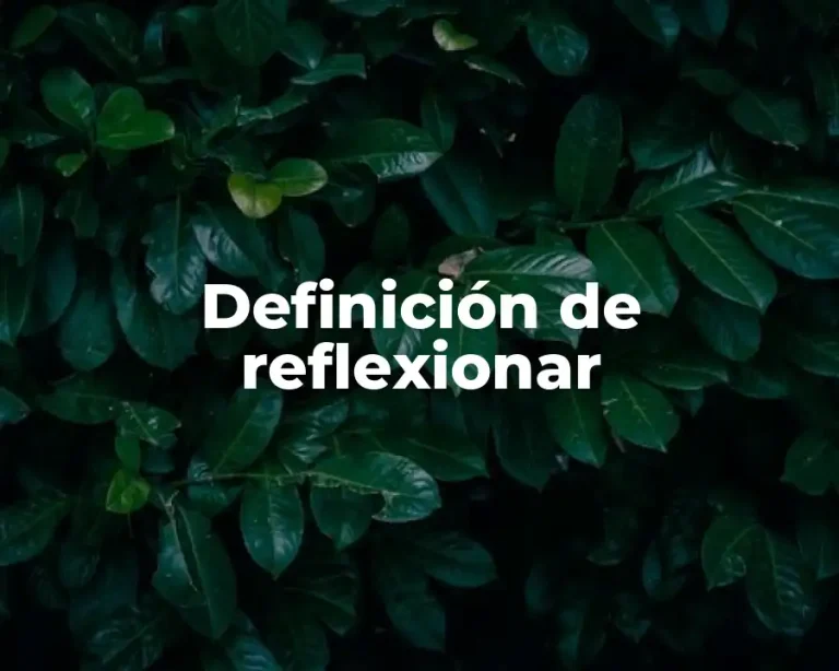 Definición de reflexionar