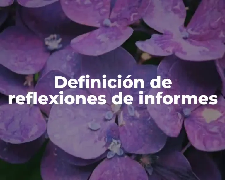 Definición de reflexiones de informes