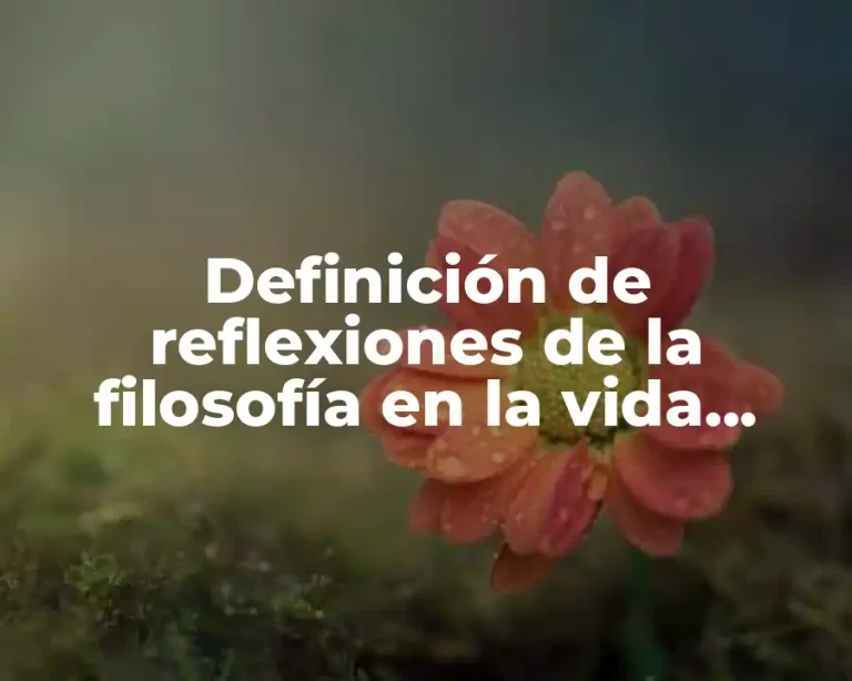 Definición de reflexiones de la filosofía en la vida humana