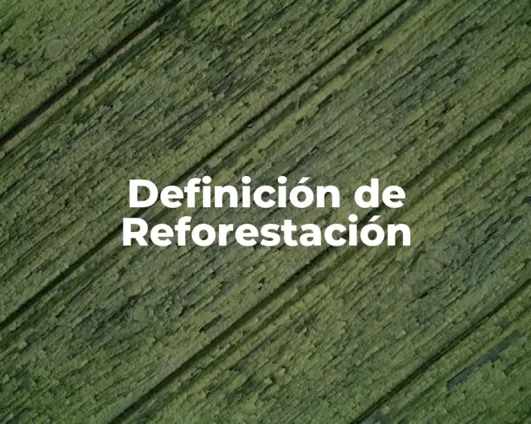 Definición de Reforestación