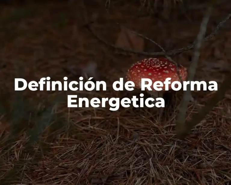 Definición de Reforma Energetica