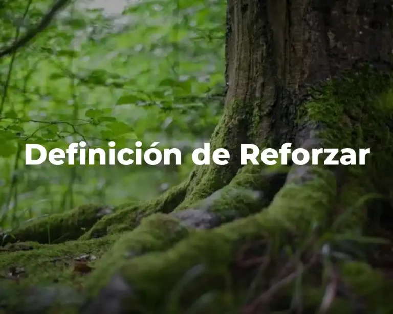 Definición de Reforzar