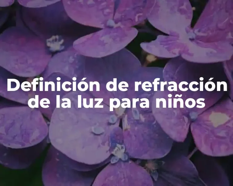 Definición de refracción de la luz para niños
