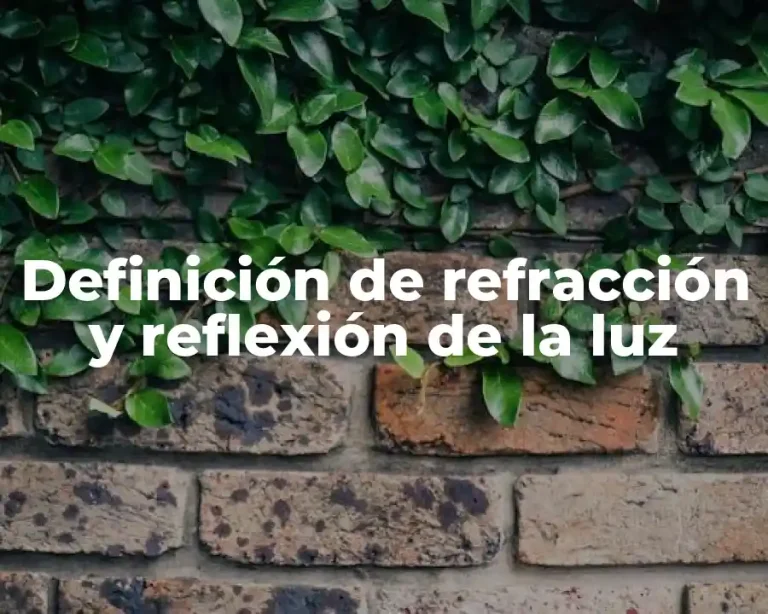 Definición de refracción y reflexión de la luz
