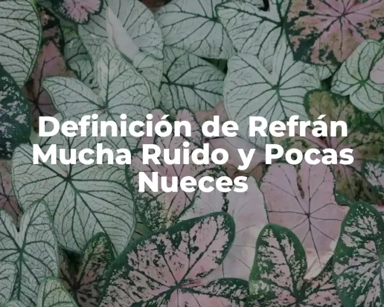 Definición de Refrán Mucha Ruido y Pocas Nueces