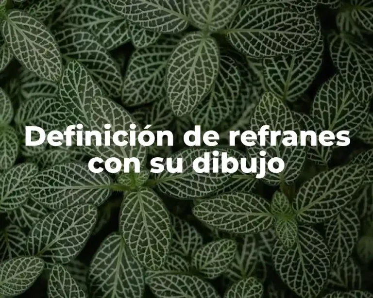 Definición de refranes con su dibujo