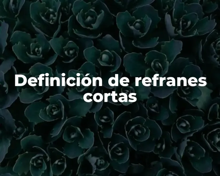 Definición de refranes cortas