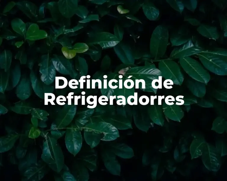 Definición de Refrigeradorres