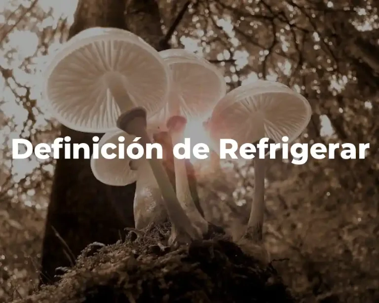 Definición de Refrigerar