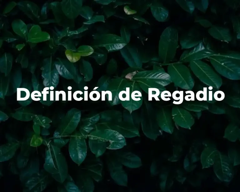 Definición de Regadio