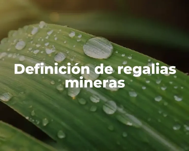 Definición de regalias mineras