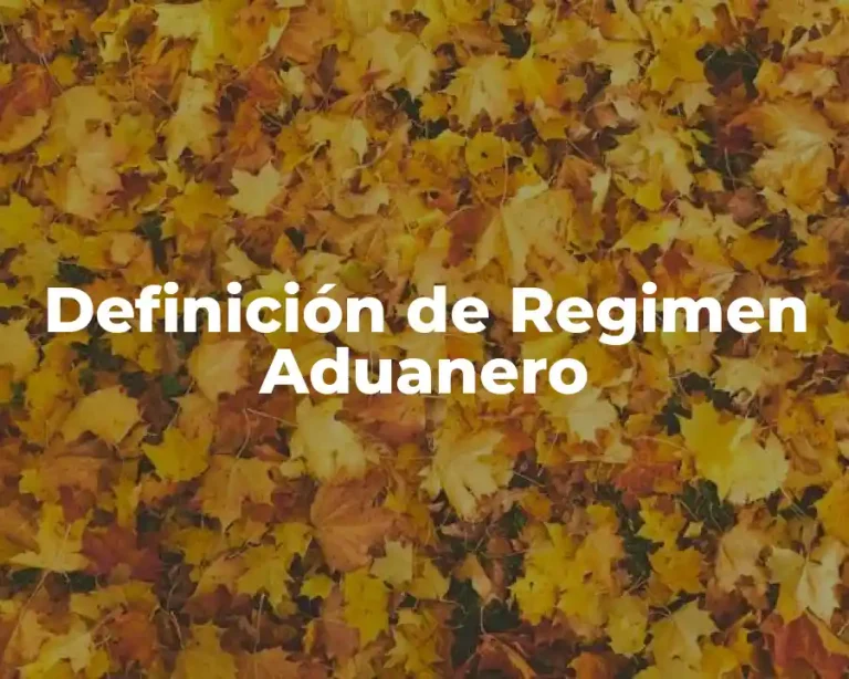 Definición de Regimen Aduanero