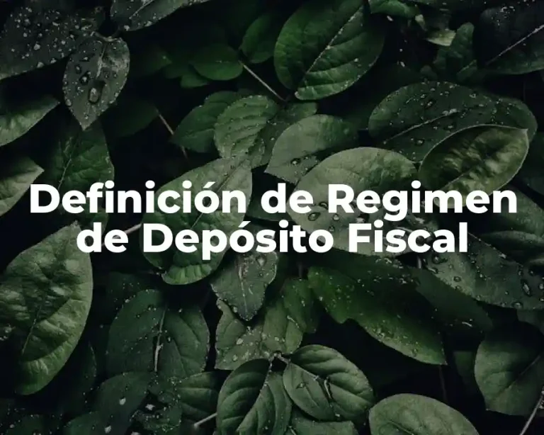 Definición de Regimen de Depósito Fiscal