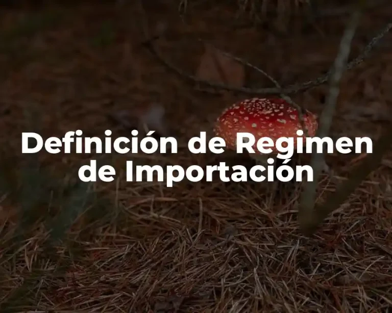 Definición de Regimen de Importación
