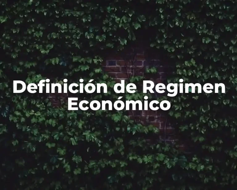Definición de Regimen Económico