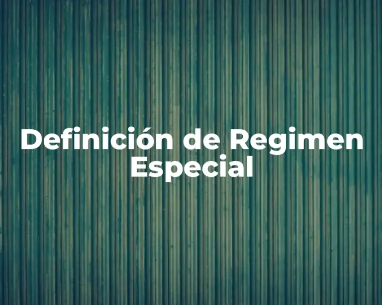 Definición de Regimen Especial