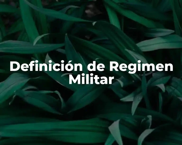 Definición de Regimen Militar