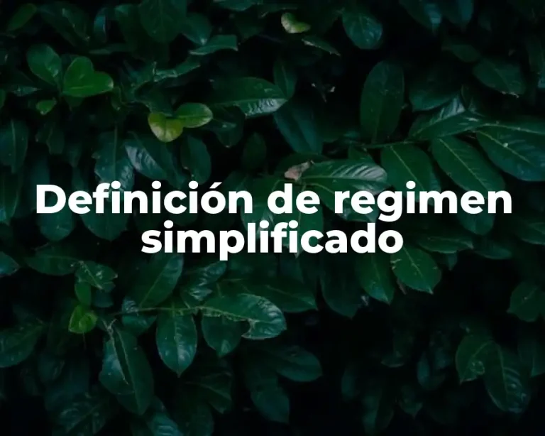 Definición de regimen simplificado