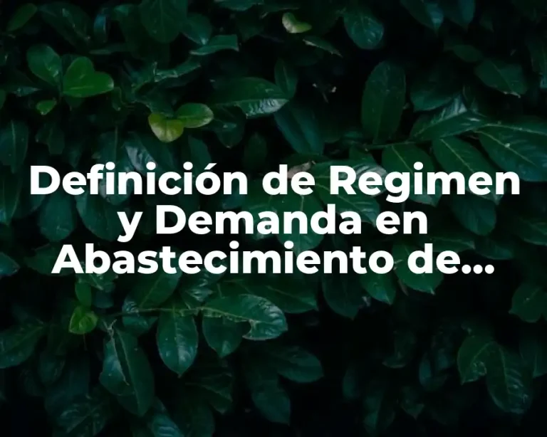 Definición de Regimen y Demanda en Abastecimiento de Agua