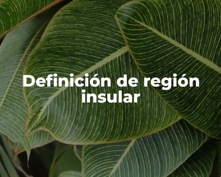 Definición de región insular