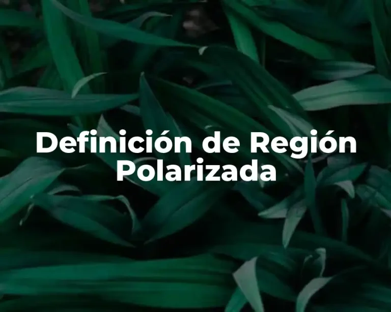 Definición de Región Polarizada