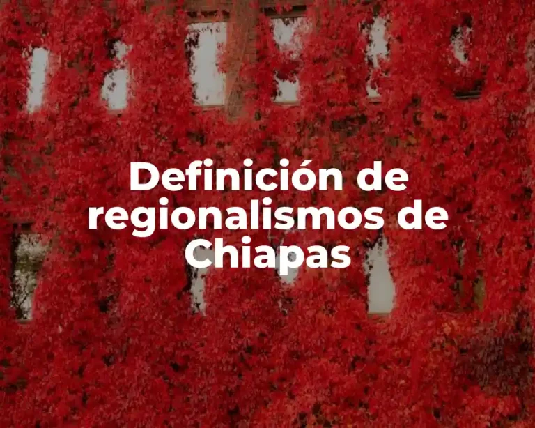 Definición de regionalismos de Chiapas