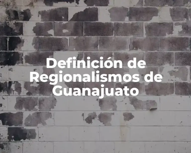 Definición de Regionalismos de Guanajuato