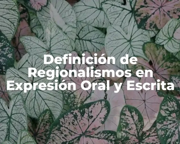 Definición de Regionalismos en Expresión Oral y Escrita