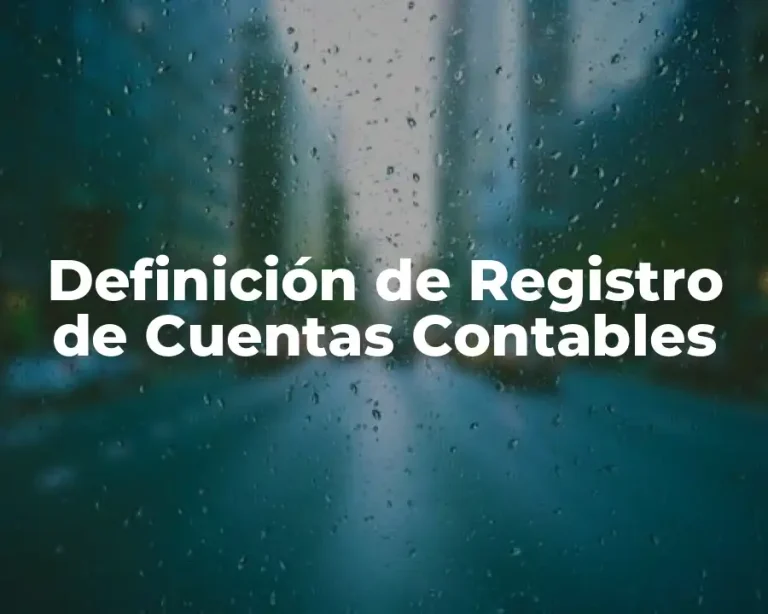 Definición de Registro de Cuentas Contables